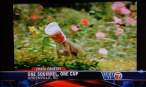 10-funny-tv-news-moments.jpg
