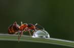trunovmacro001-13.jpg
