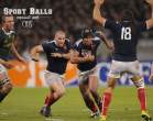 sports-balls-replaced-cats `1.jpg