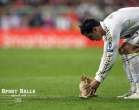 sports-balls-replaced-cats 5.jpg