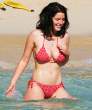92108_rosie4_169308a_122_55lo.jpg