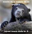 confession-bear-photo-u3.JPG