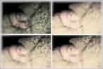 4-up on 7-20-13 at 1.36 AM (compiled).jpg