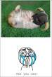 Yes+you+can+.+Cuteness+level+100_2bed5c_3243731.jpg