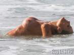 andressa-urach-topless-on-a-beach-09-900x675.jpg