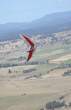 AirBorne_Sting_4.jpg