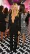 28629_paltrow2_123_215lo.jpg