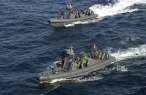 nsw-rhibs-hr sm.jpg