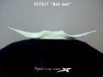 STFB-7 009s r.jpg