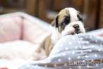 05 IMG_7538 manja.jpg