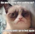 Grumpy-cat-meme-part2-5.gif