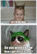 Grumpy-cat-took-it-seriously.gif
