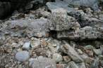 Sniper with impressive camouflauge..jpg