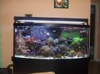 Cool-Black-Fish-Tanks-Pics.jpg