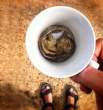 ten-ridiculously-adorable-animals-in-cups-1.jpg
