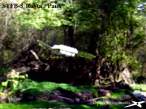 RoSta Pauk24jul13 fl18 07s r.jpg