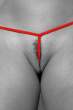 thong01.jpg