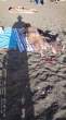 Click to enlarge VideoCapture_20190620-124712.jpg