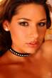 Zafira, Wivien, Bambi Stewart 9.jpg