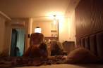 vlcsnap-2023-09-29-19h35m36s670.jpg